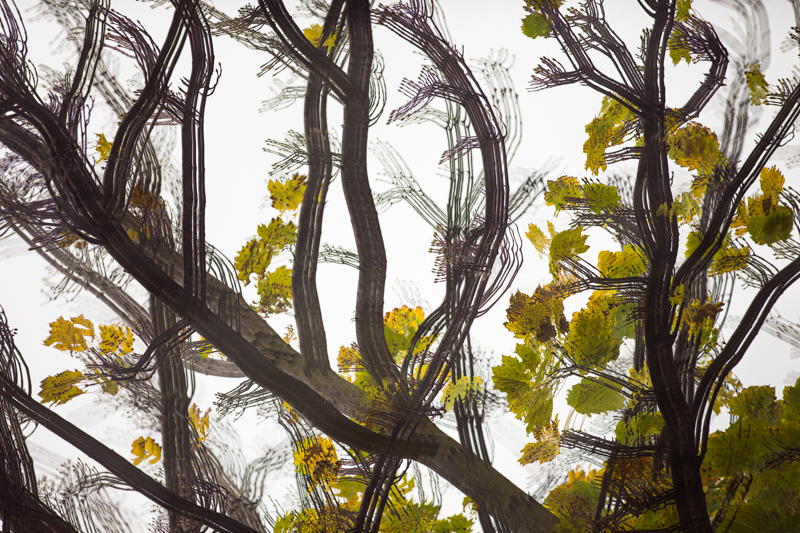 Rainy Day Multiple Exposure